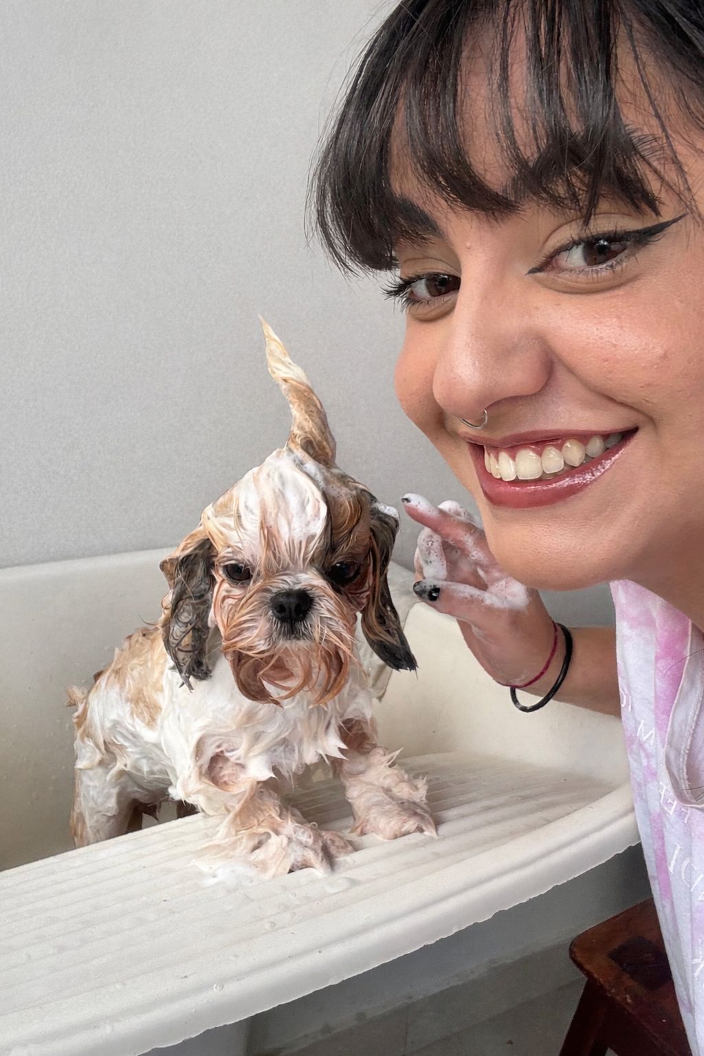 Atendimento de estética pet com foco em bem-estar e cuidado terapêutico