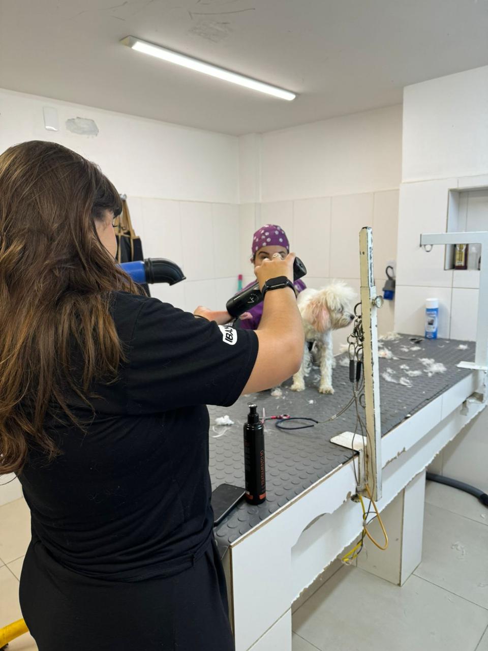 Cuidado estético profissional com pet durante atendimento terapêutico